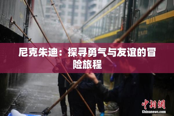 尼克朱迪：探寻勇气与友谊的冒险旅程