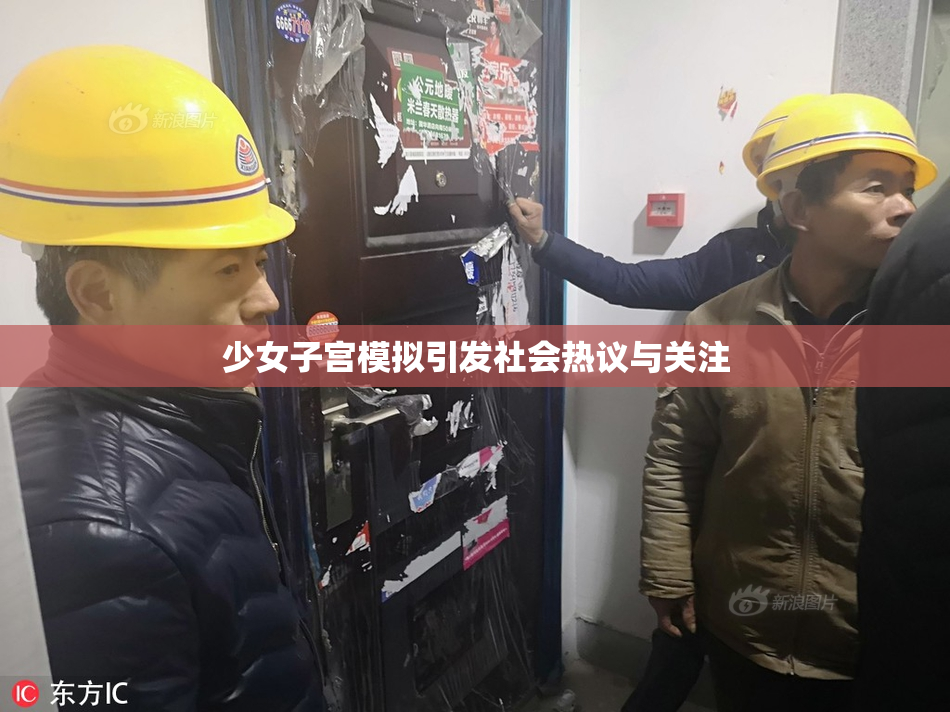 少女子宫模拟引发社会热议与关注
