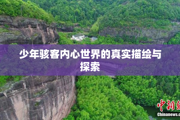 少年骇客内心世界的真实描绘与探索