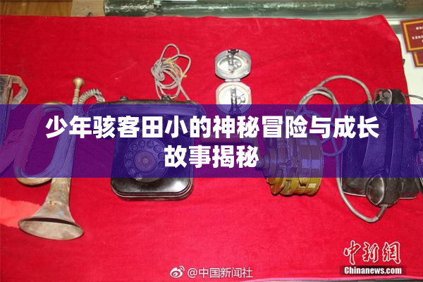 少年骇客田小的神秘冒险与成长故事揭秘