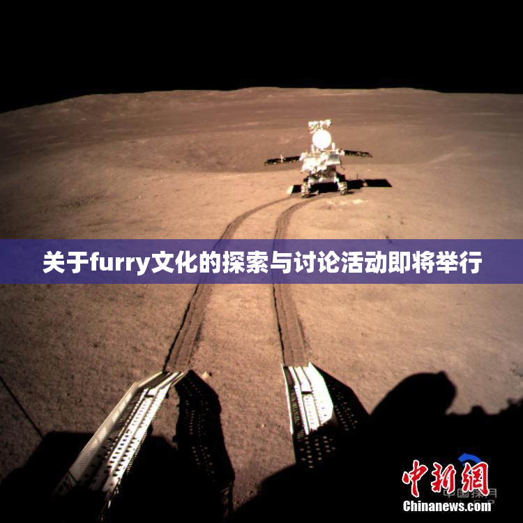 关于furry文化的探索与讨论活动即将举行