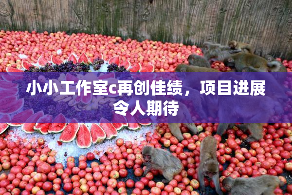 小小工作室c再创佳绩，项目进展令人期待