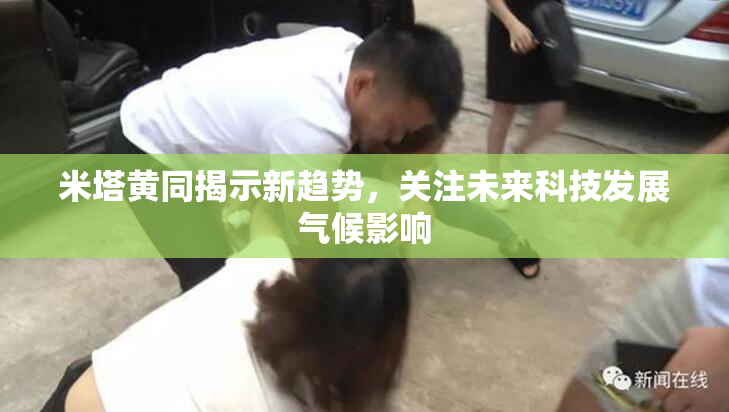 米塔黄同揭示新趋势，关注未来科技发展气候影响