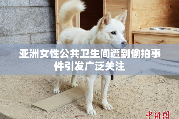 亚洲女性公共卫生间遭到偷拍事件引发广泛关注