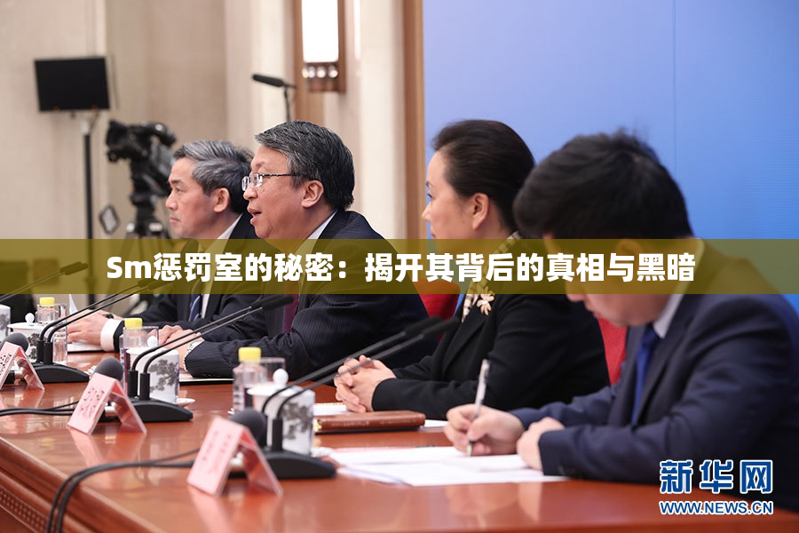 Sm惩罚室的秘密：揭开其背后的真相与黑暗