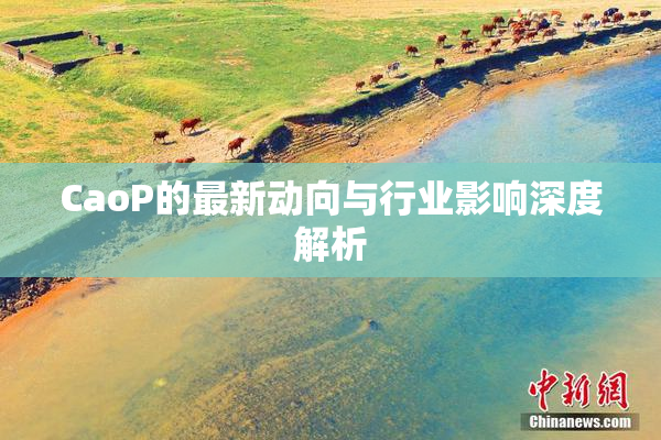 CaoP的最新动向与行业影响深度解析