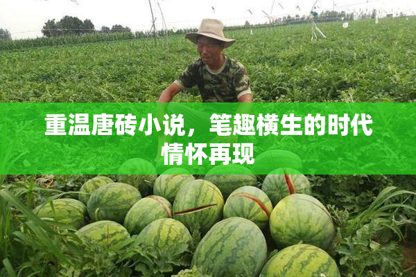 重温唐砖小说，笔趣横生的时代情怀再现