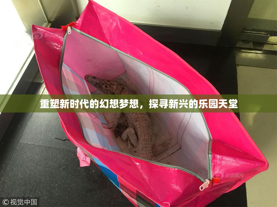 重塑新时代的幻想梦想，探寻新兴的乐园天堂