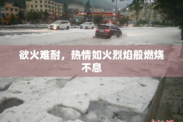 欲火难耐，热情如火烈焰般燃烧不息
