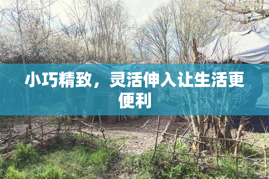 小巧精致，灵活伸入让生活更便利