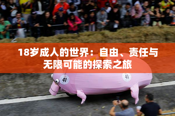18岁成人的世界：自由、责任与无限可能的探索之旅