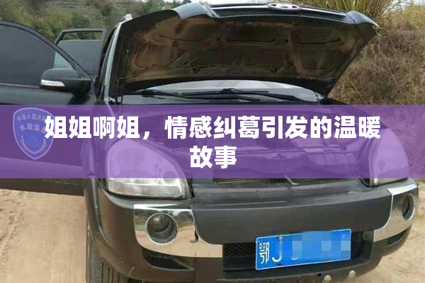 姐姐啊姐，情感纠葛引发的温暖故事