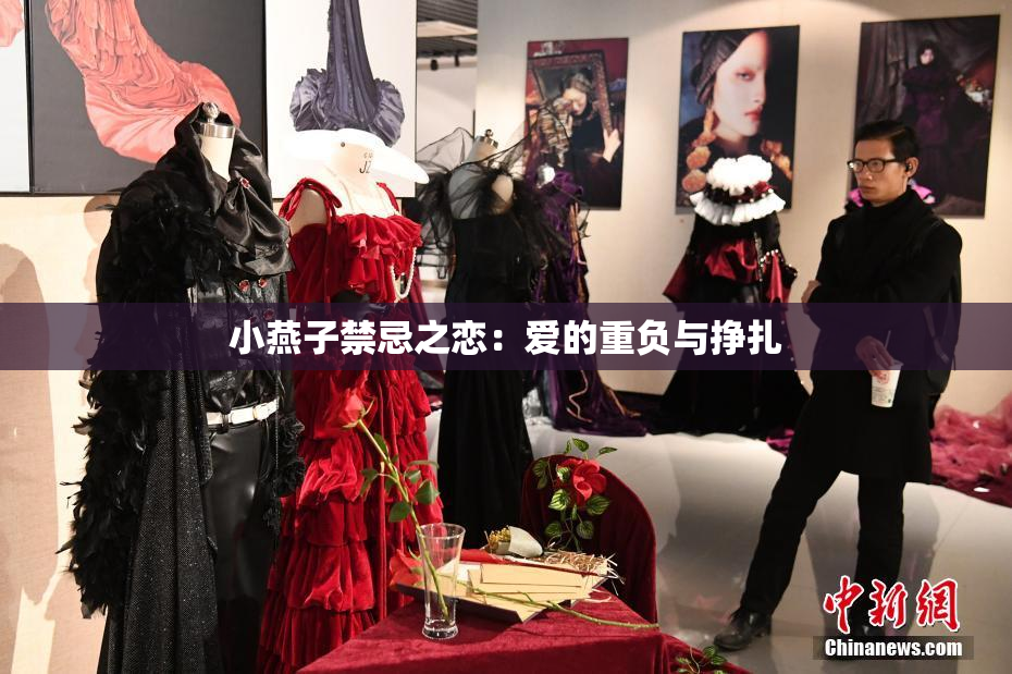 小燕子禁忌之恋：爱的重负与挣扎