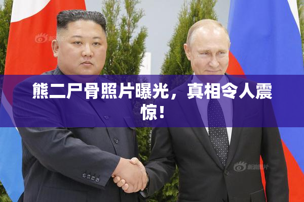 熊二尸骨照片曝光，真相令人震惊！