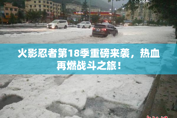 火影忍者第18季重磅来袭，热血再燃战斗之旅！
