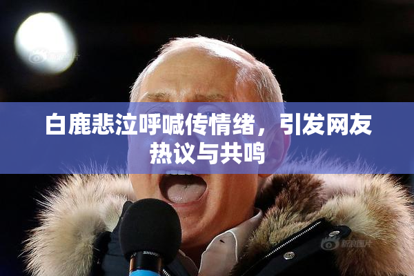 白鹿悲泣呼喊传情绪，引发网友热议与共鸣