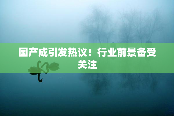 国产成引发热议！行业前景备受关注