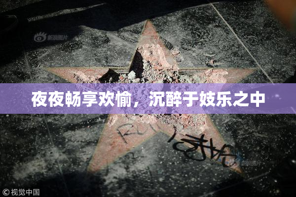 夜夜畅享欢愉，沉醉于妓乐之中