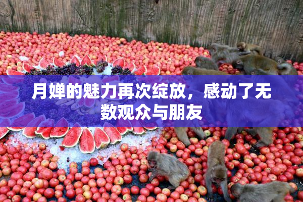 月婵的魅力再次绽放，感动了无数观众与朋友