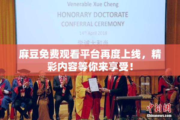 麻豆免费观看平台再度上线，精彩内容等你来享受！