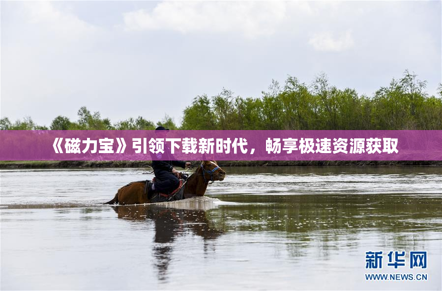 《磁力宝》引领下载新时代，畅享极速资源获取