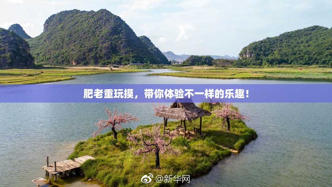 肥老重玩摸，带你体验不一样的乐趣！