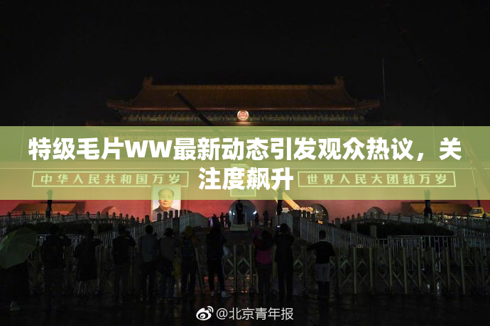 特级毛片WW最新动态引发观众热议，关注度飙升