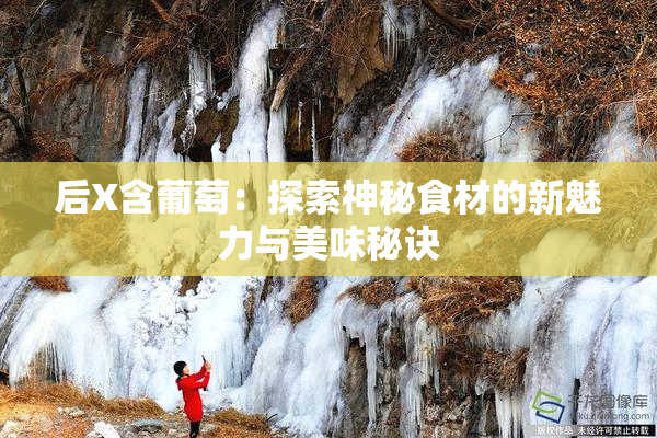 后X含葡萄：探索神秘食材的新魅力与美味秘诀