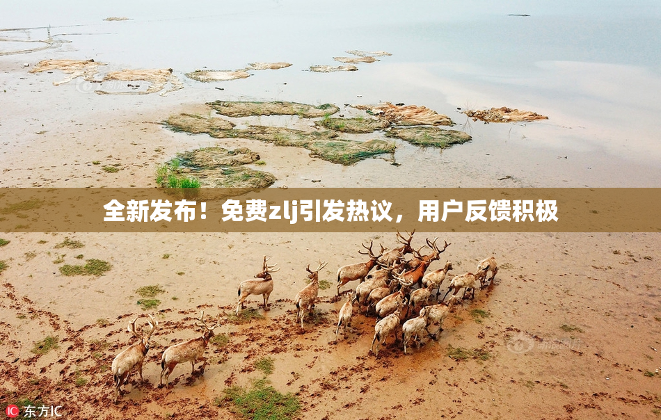 全新发布！免费zlj引发热议，用户反馈积极