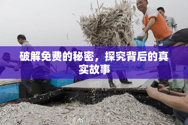 破解免费的秘密，探究背后的真实故事