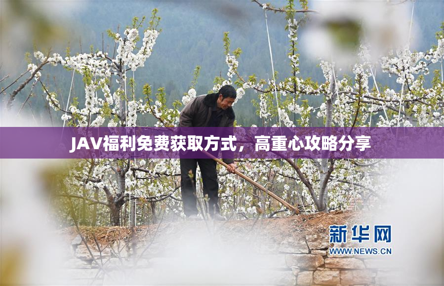 JAV福利免费获取方式，高重心攻略分享