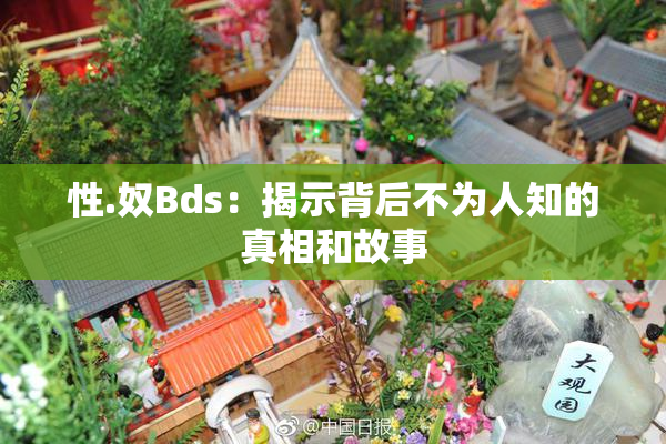 性.奴Bds：揭示背后不为人知的真相和故事