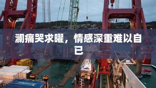 澜痛哭求曜，情感深重难以自已