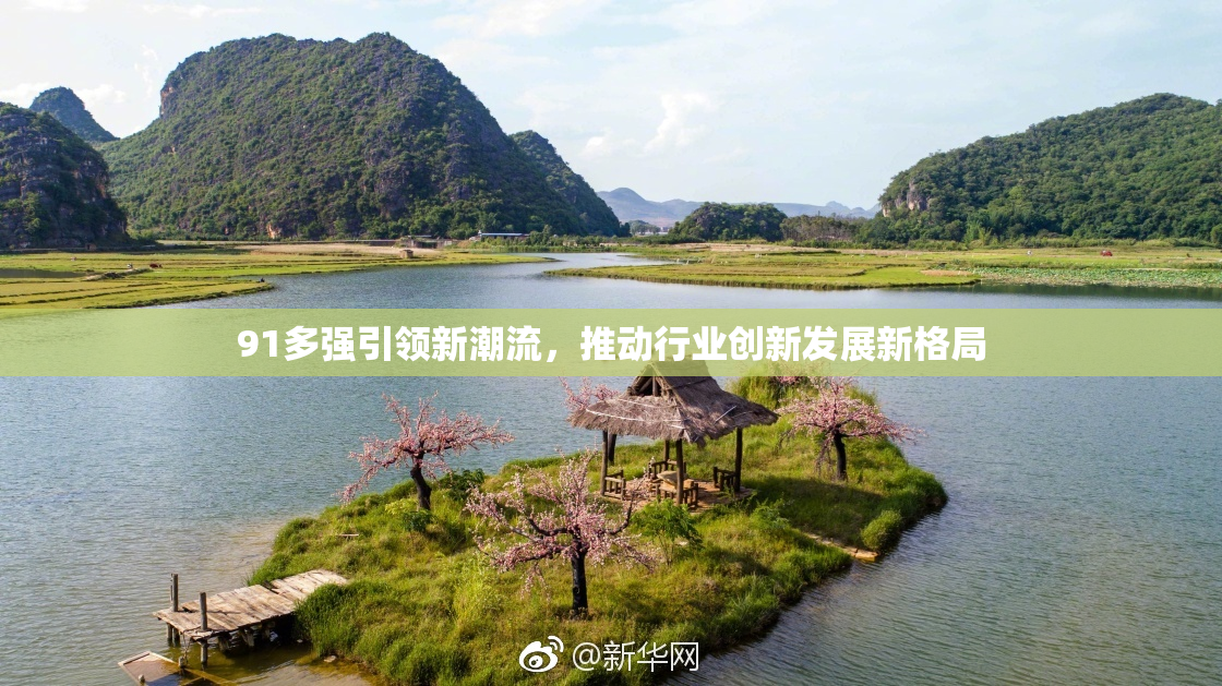 91多强引领新潮流，推动行业创新发展新格局
