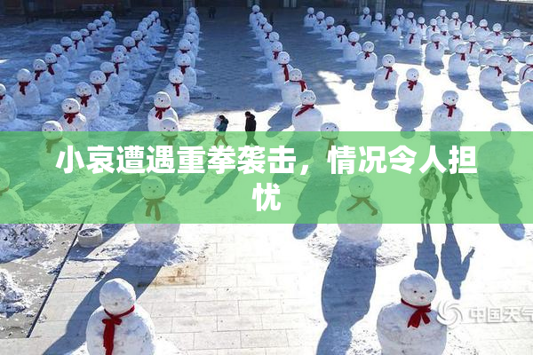 小哀遭遇重拳袭击，情况令人担忧