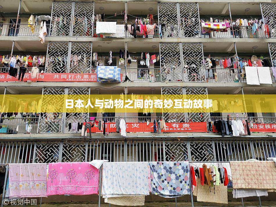 日本人与动物之间的奇妙互动故事