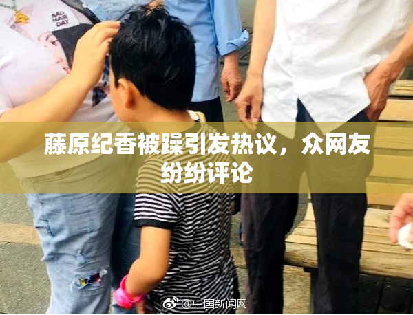 藤原纪香被躁引发热议，众网友纷纷评论