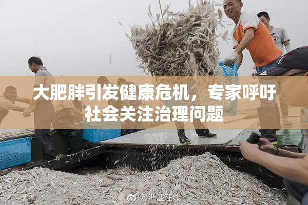 大肥胖引发健康危机，专家呼吁社会关注治理问题