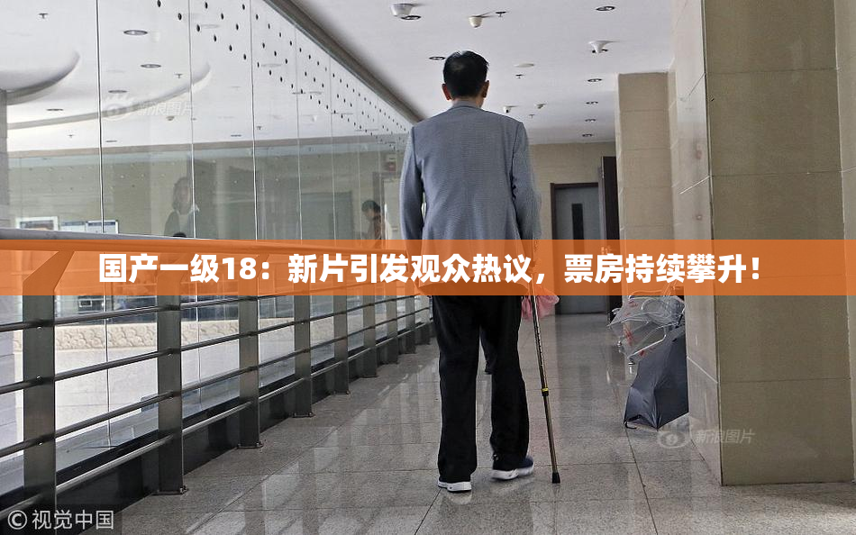 国产一级18：新片引发观众热议，票房持续攀升！