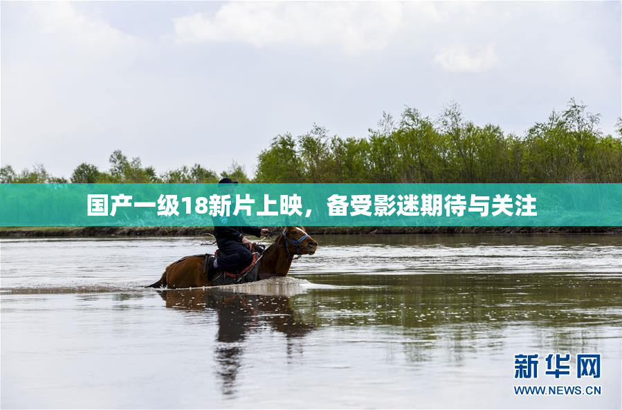 国产一级18新片上映，备受影迷期待与关注