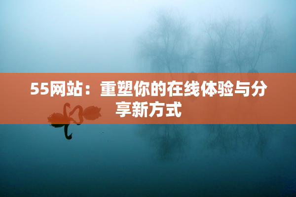55网站：重塑你的在线体验与分享新方式