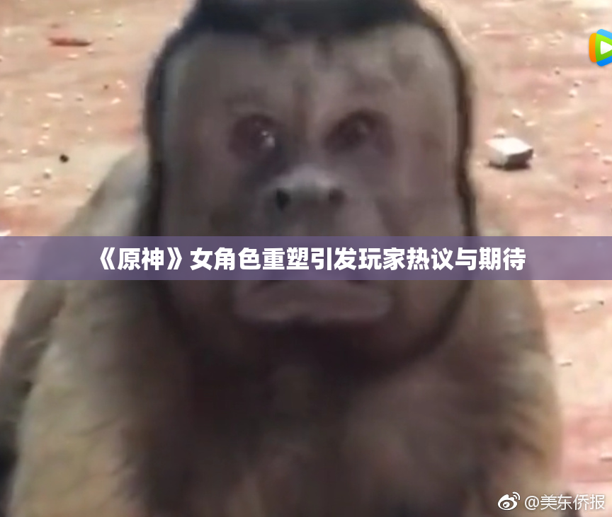 《原神》女角色重塑引发玩家热议与期待