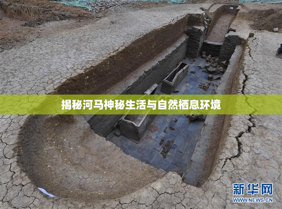 揭秘河马神秘生活与自然栖息环境
