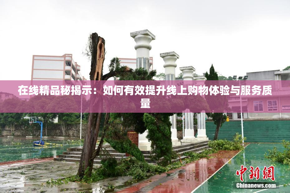 在线精品秘揭示：如何有效提升线上购物体验与服务质量