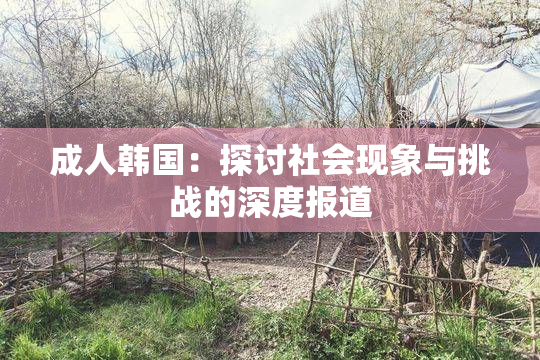 成人韩国：探讨社会现象与挑战的深度报道
