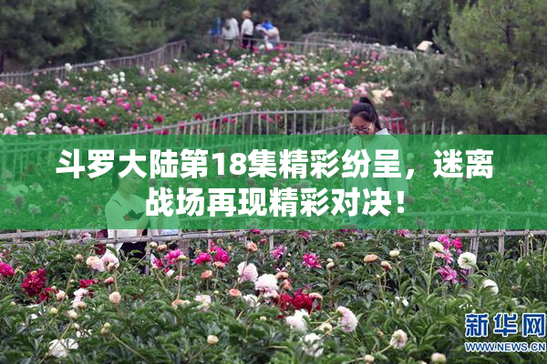 斗罗大陆第18集精彩纷呈，迷离战场再现精彩对决！