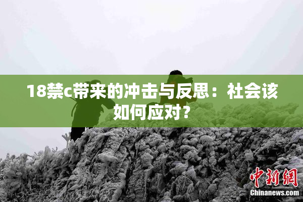 18禁c带来的冲击与反思：社会该如何应对？