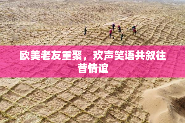 欧美老友重聚，欢声笑语共叙往昔情谊