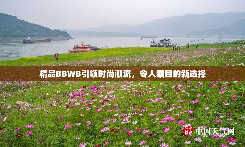 精品BBWB引领时尚潮流，令人瞩目的新选择