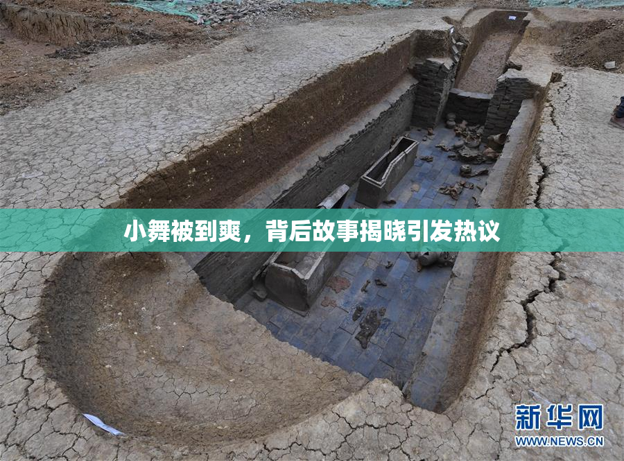 小舞被到爽，背后故事揭晓引发热议